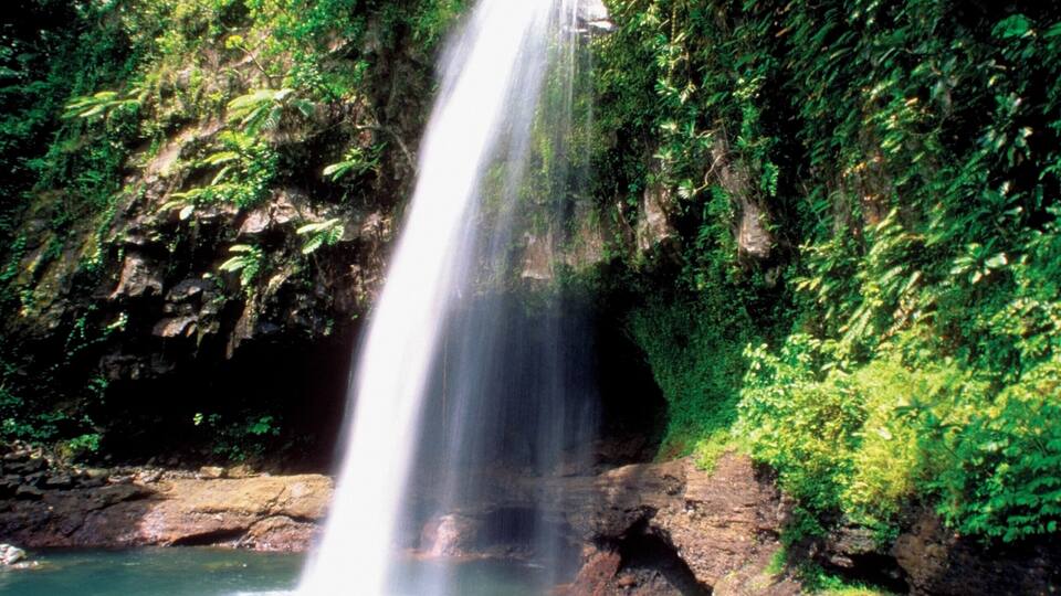 A waterfall cascading into a clear pool surrounded by lush greenery and rocky terrain.