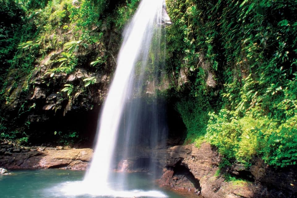 Uma cascata despenca em uma piscina límpida, cercada por vegetação exuberante e terreno rochoso.