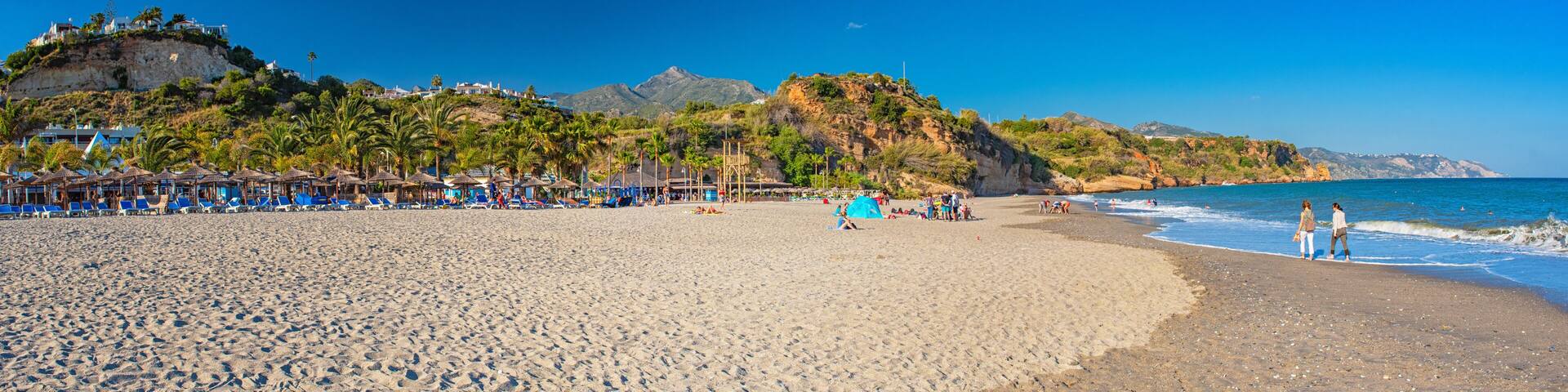 A beach with palm trees, a clear sky, and mountains in the background.