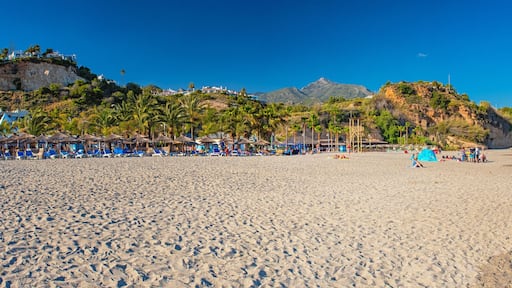 Een strand met palmbomen, een heldere lucht en bergen op de achtergrond.