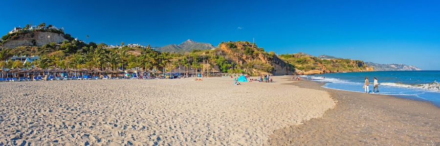 Una playa con palmeras, cielo despejado y montañas al fondo.