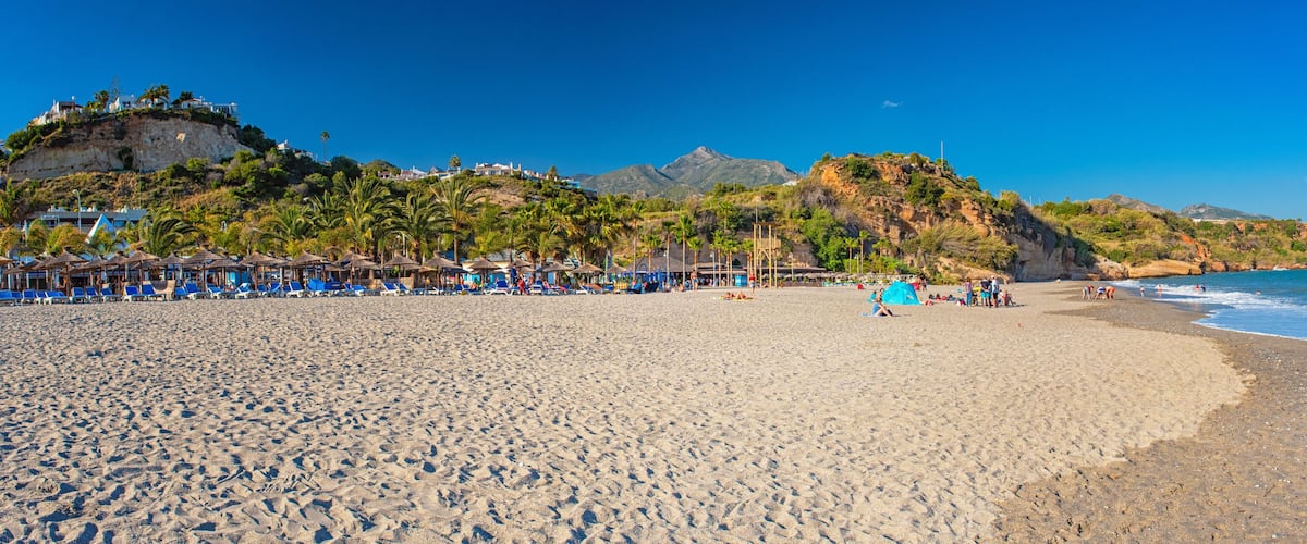 A beach with palm trees, a clear sky, and mountains in the background.