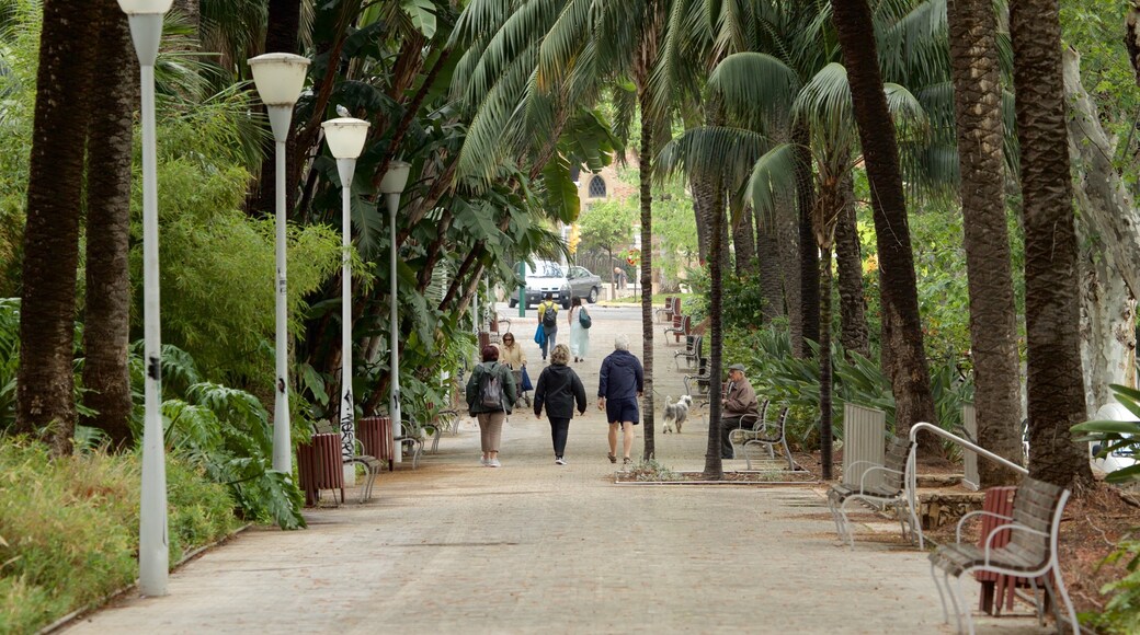 Tajo\'s Tree-Lined Avenue mostrando giardino cosi come un piccolo gruppo di persone