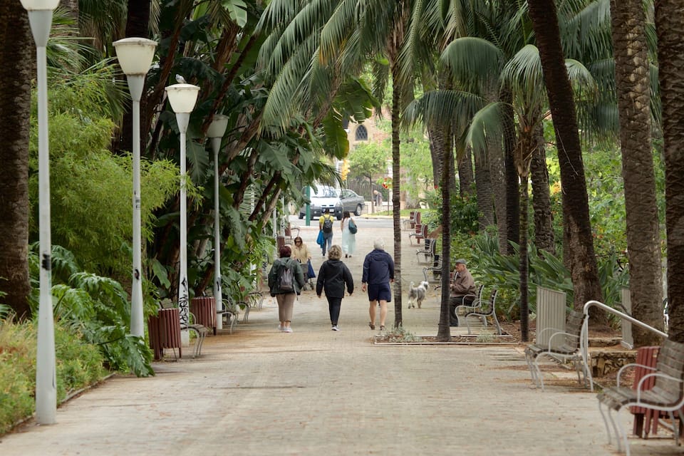 A paved pathway lined with palm trees and street lamps, leading towards a distant building.