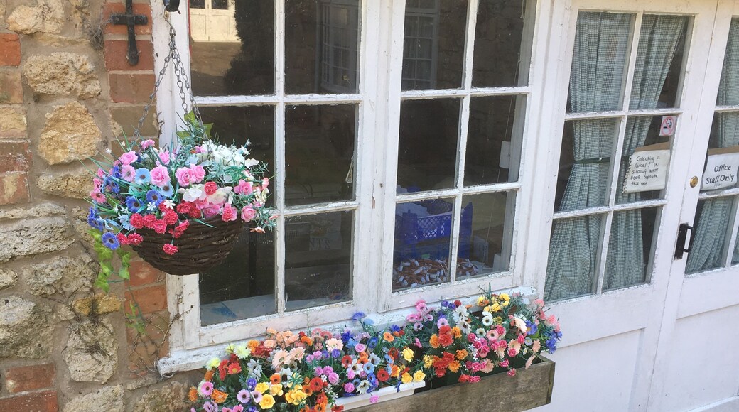 Pretty little shop front