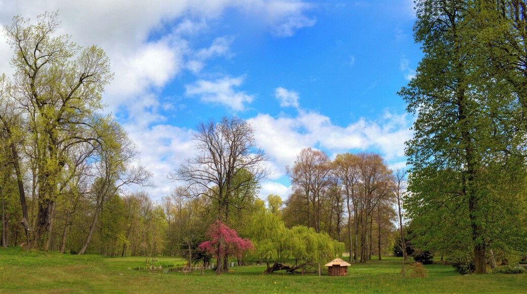 Schlosspark Dahlen, mit einem der ältesten Tulpenbäume Sachsens