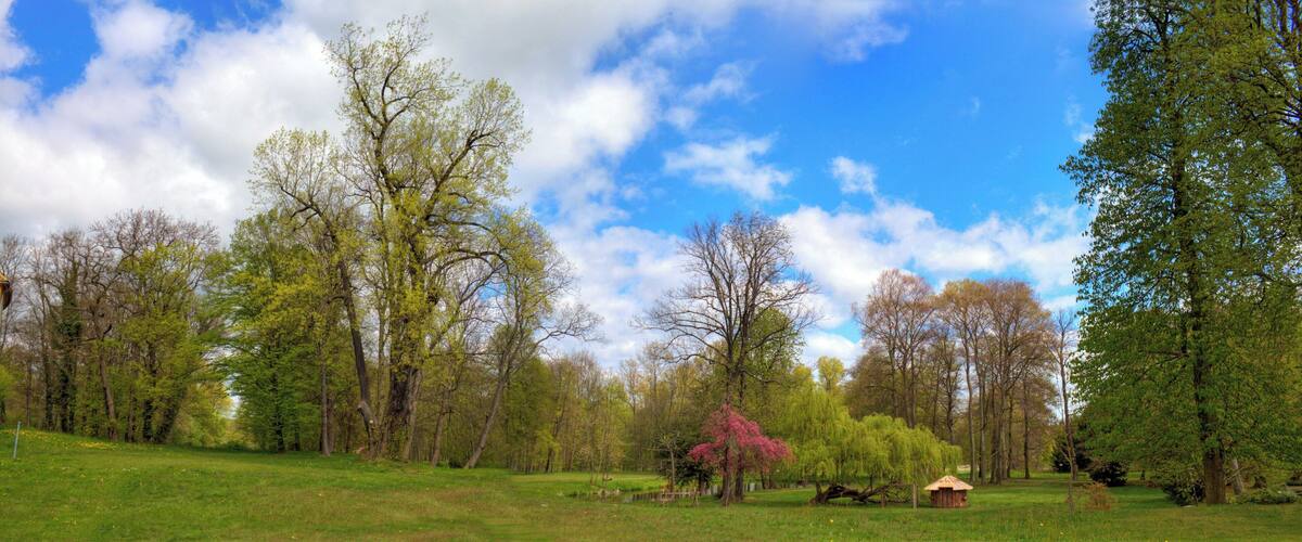 A park with a variety of trees, a small wooden structure, and a grassy field.