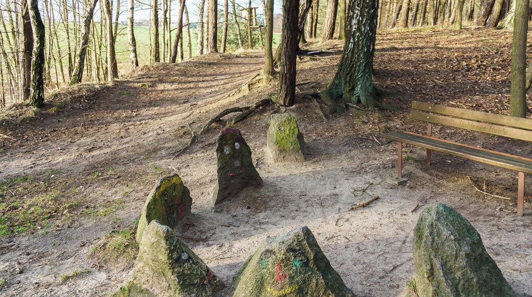 Die "Sieben steinernen Zwerge" bei Schmannewitz. Trümmerreste eines 1937 gesprengten Findling.