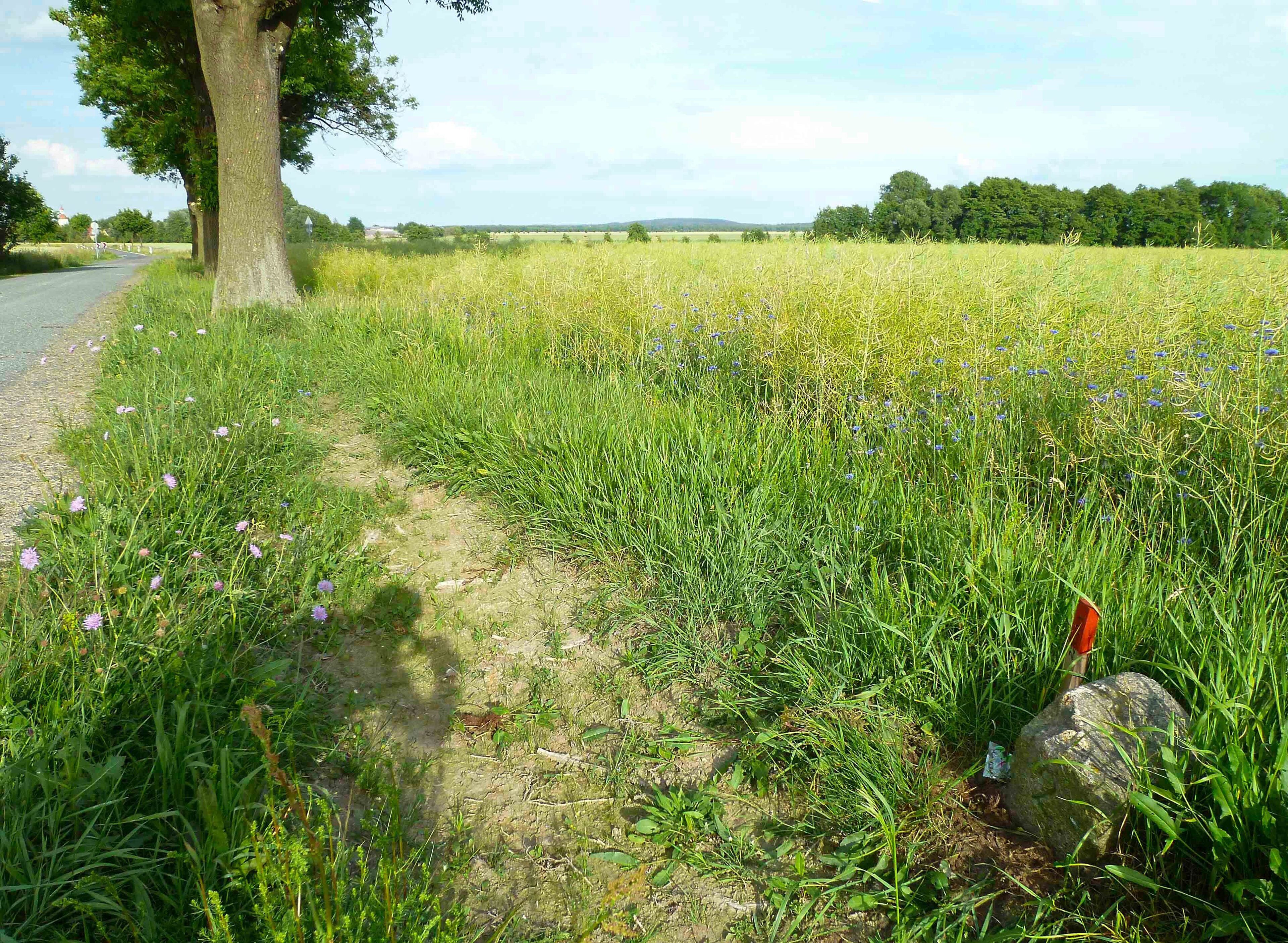 Historischer Grenzstein. Läuferstein Nr. 2 zwischen Grenzstein 25 und 26 der sächsisch-preußischen Grenze 1815 (Wiener Kongress)