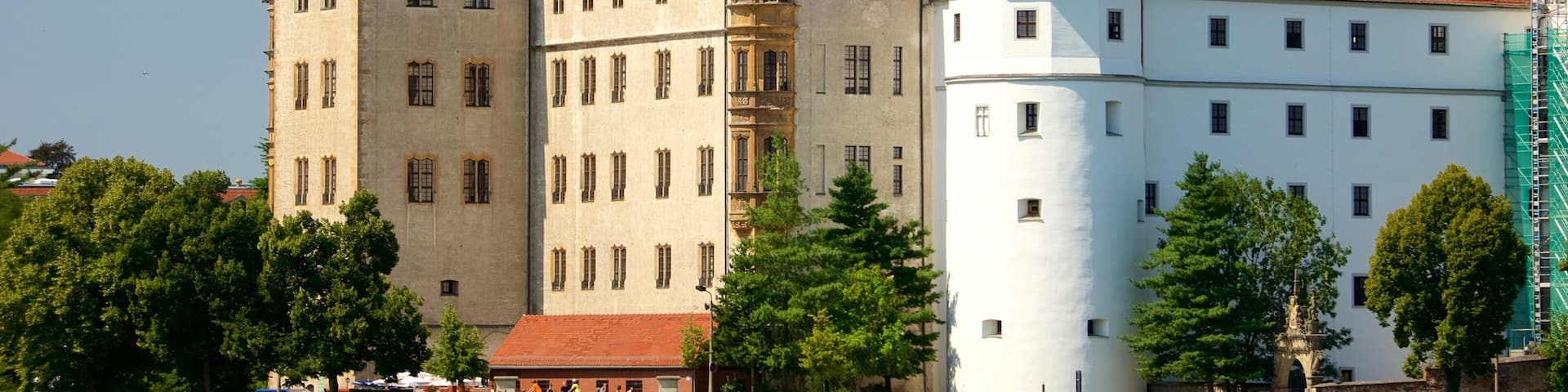 Torgau welches beinhaltet Burg