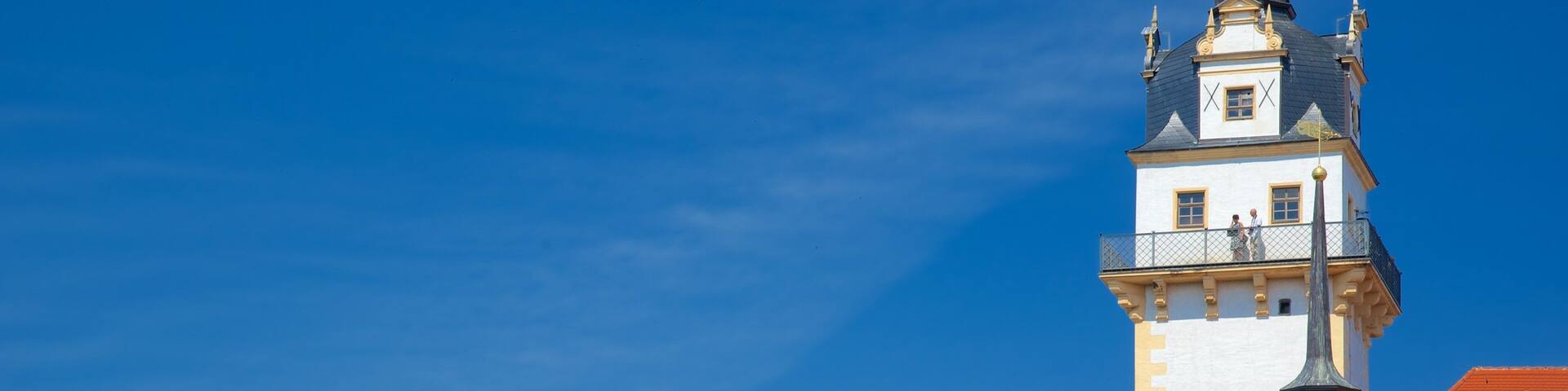 Torgau showing a church or cathedral