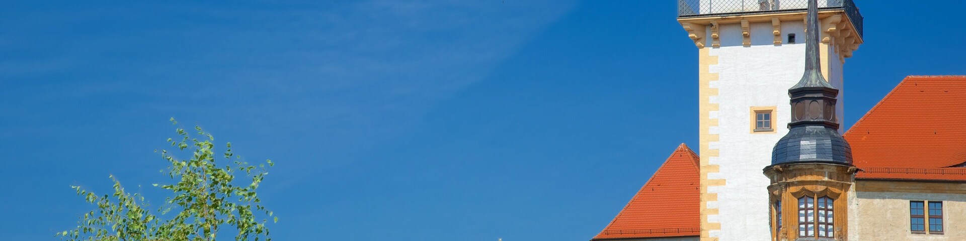 Torgau showing a church or cathedral