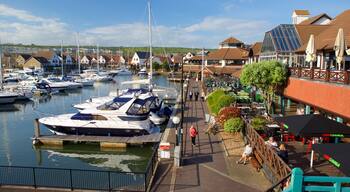 A marina with boats docked, a pedestrian walkway, and a restaurant with outdoor seating.