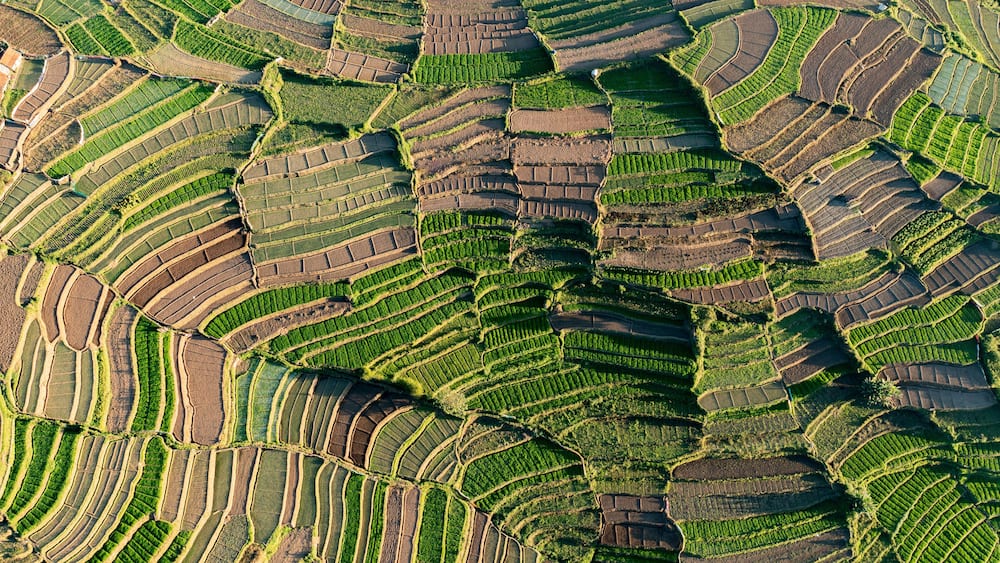 Aerial view of Polur Village terrace fields in Tamil Nadu region, Kodai Kanal, India.