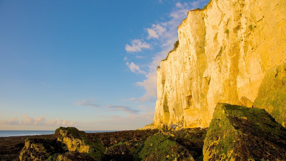 A coastal cliff with a clear sky.