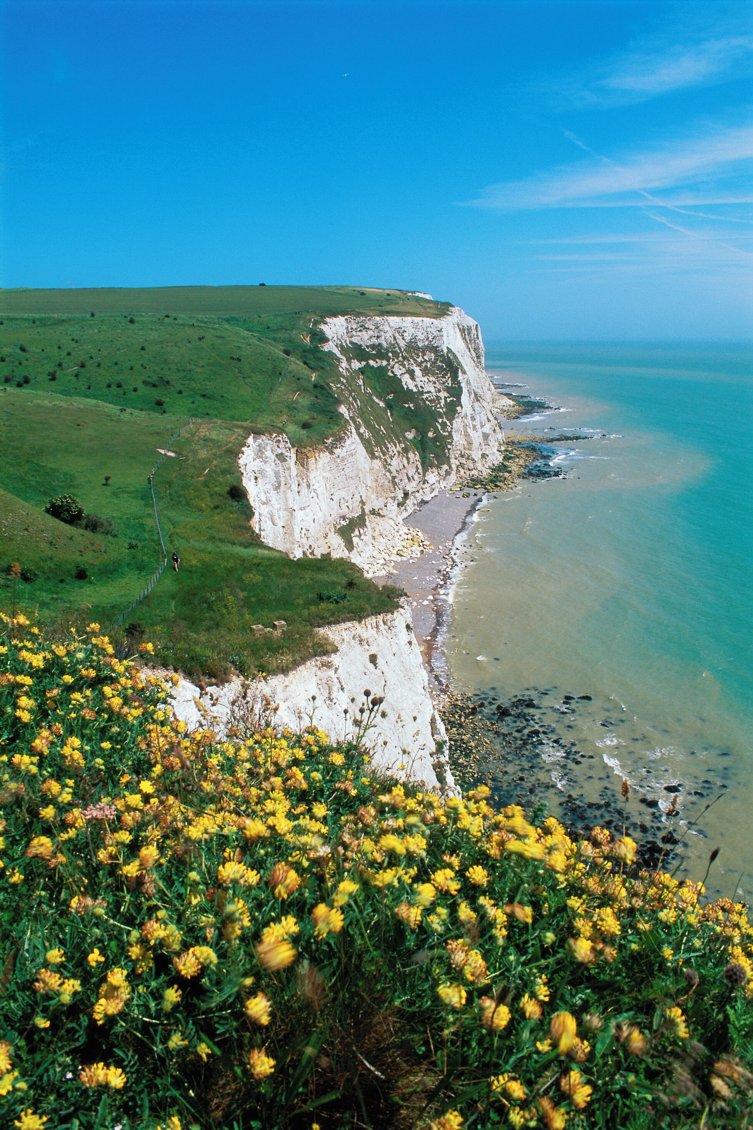 The White Cliffs of Dover, Kent, England
