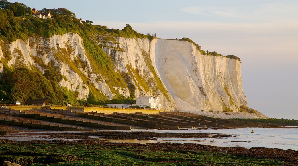 Penhascos Brancos de Dover mostrando paisagem, uma praia de pedras e litoral acidentado