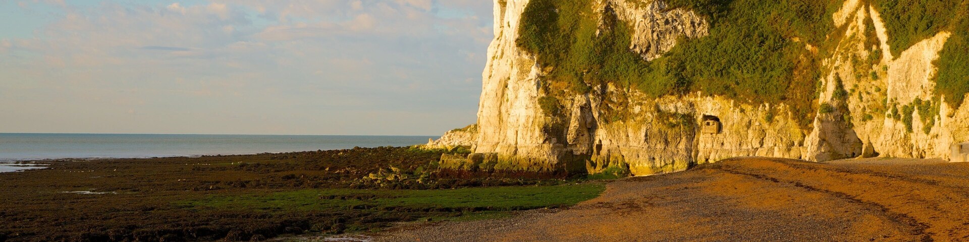 White Cliffs of Dover featuring general coastal views and landscape views