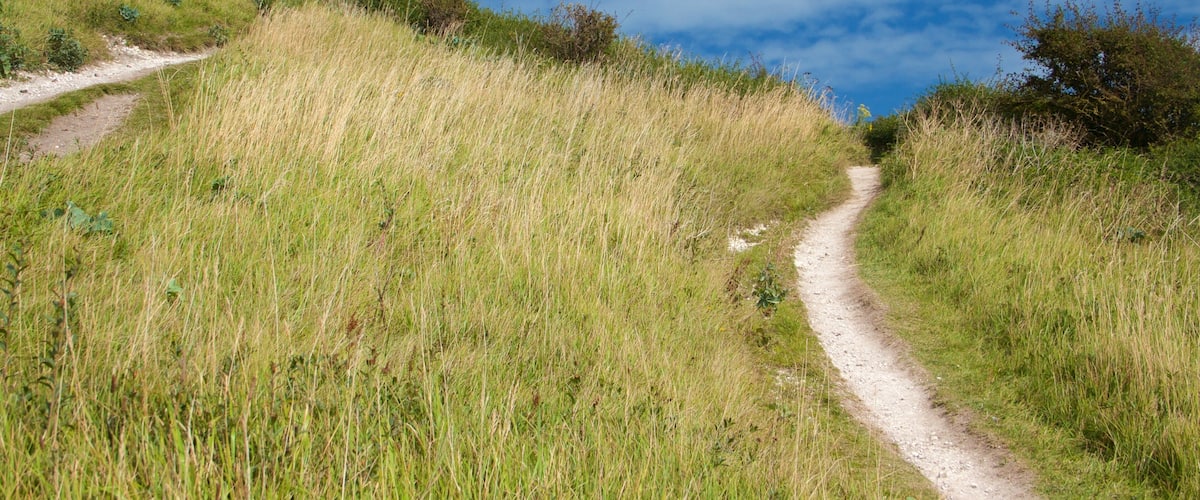White Cliffs of Dover which includes tranquil scenes