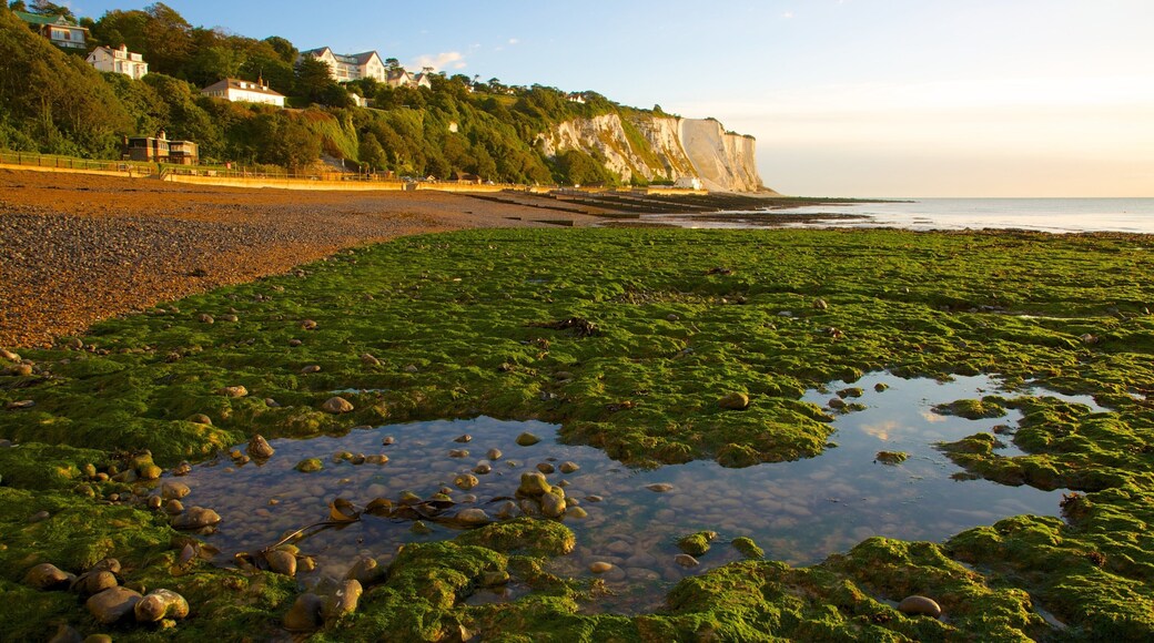 Dover que inclui paisagem e uma praia de pedras