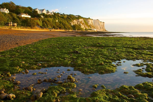 Douvres qui includes panoramas et plage de galets