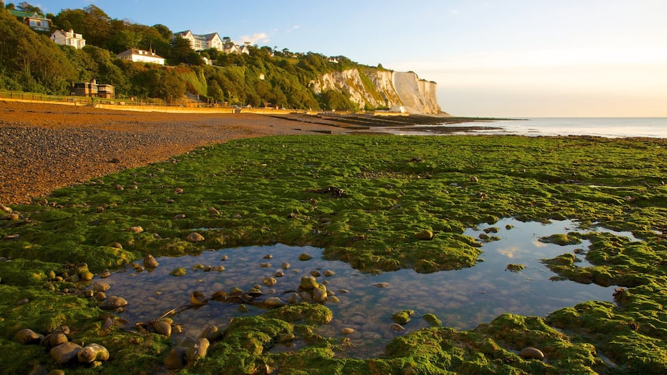 A coastal area with a pebbly beach, green algae-covered rocks, and cliffs with houses in the background.
