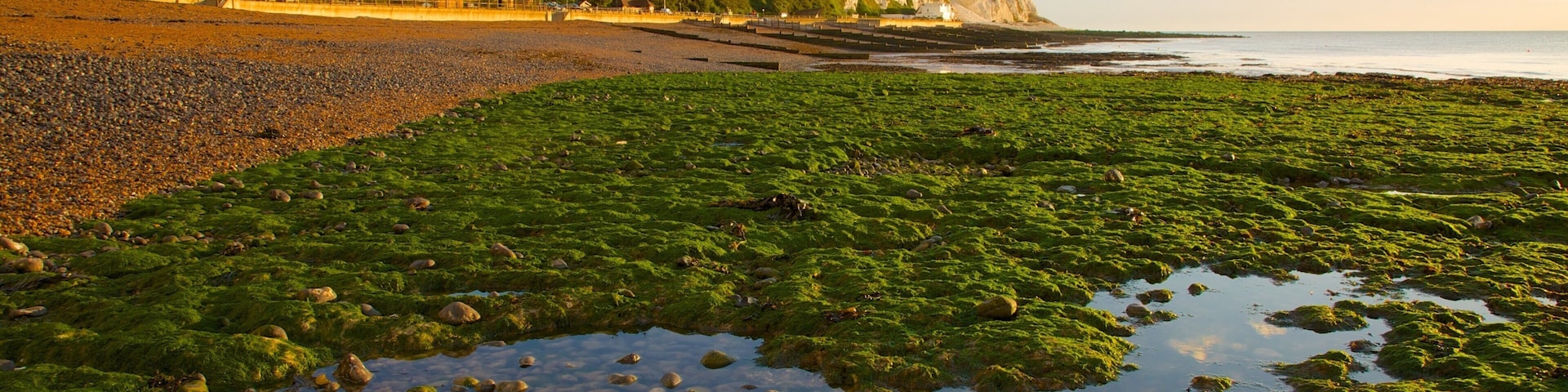 Dover showing a pebble beach and landscape views