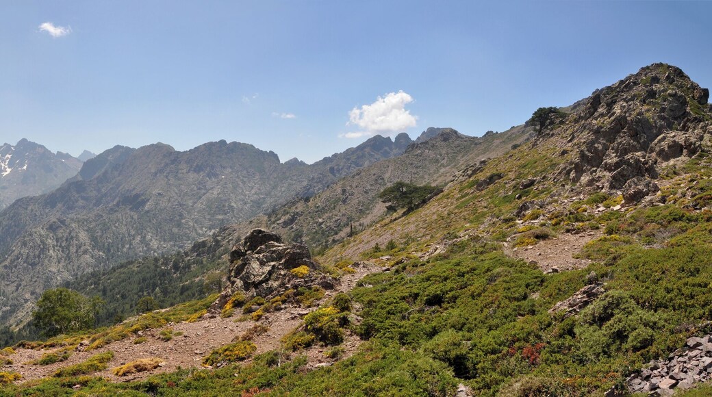 Pass of old road between Mt Corona and Mt Padro
