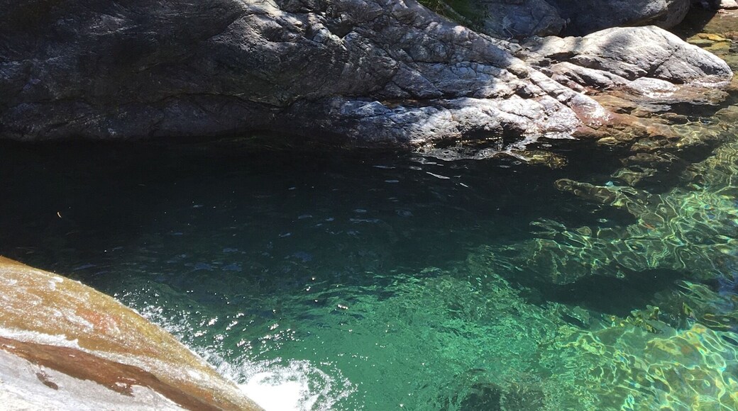 The river swimming pool