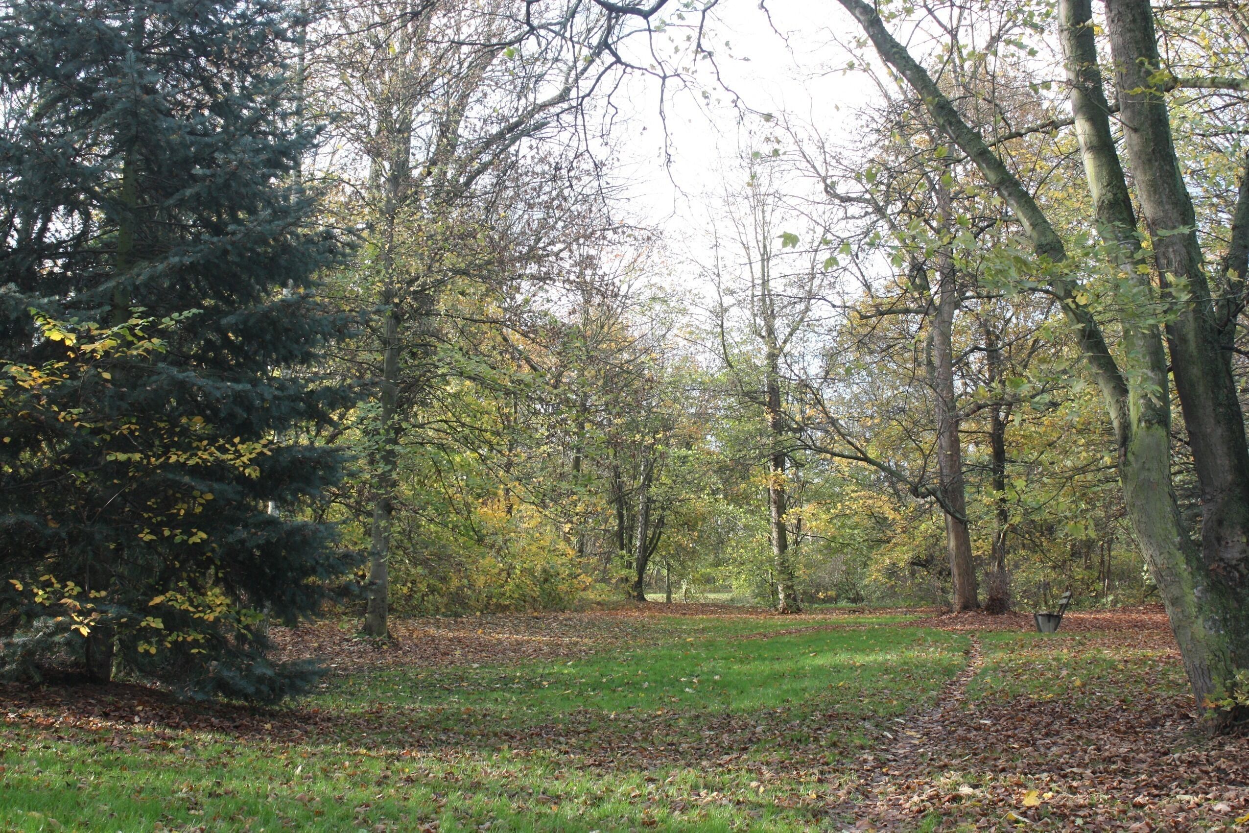 Zschortau (Rackwitz), park in the autumn
