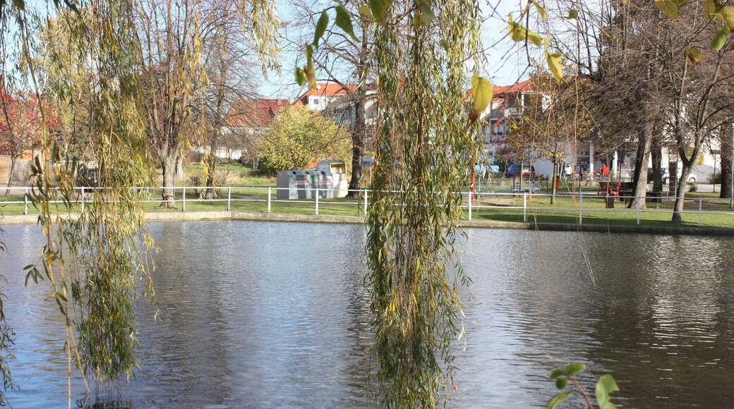Zschortau (Rackwitz), the pond