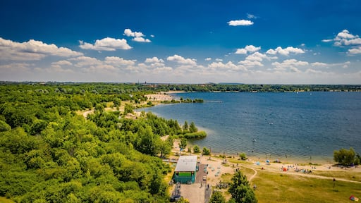 ๋ผํฌ๋น์ธ