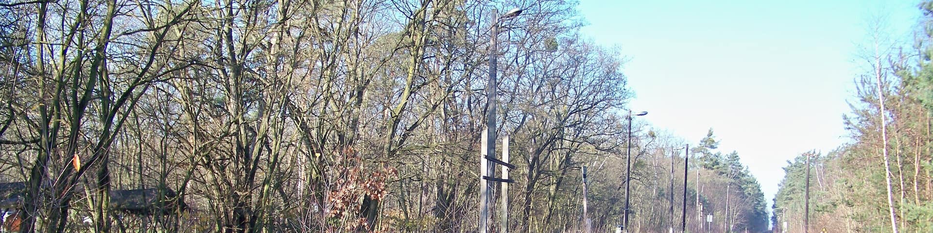 ehemaliger Haltepunkt Rotes Haus in der Dübener Heide nördlich von Eilenburg an der Strecke Eilenburg-Pretzsch
