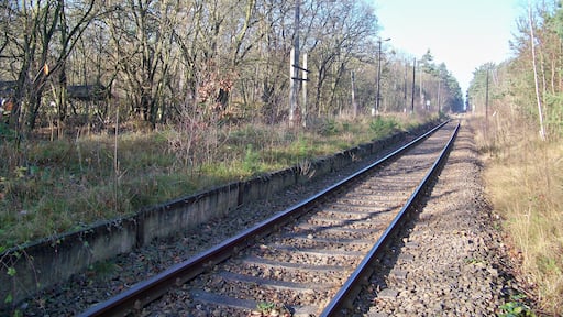 ehemaliger Haltepunkt Rotes Haus in der Dübener Heide nördlich von Eilenburg an der Strecke Eilenburg-Pretzsch