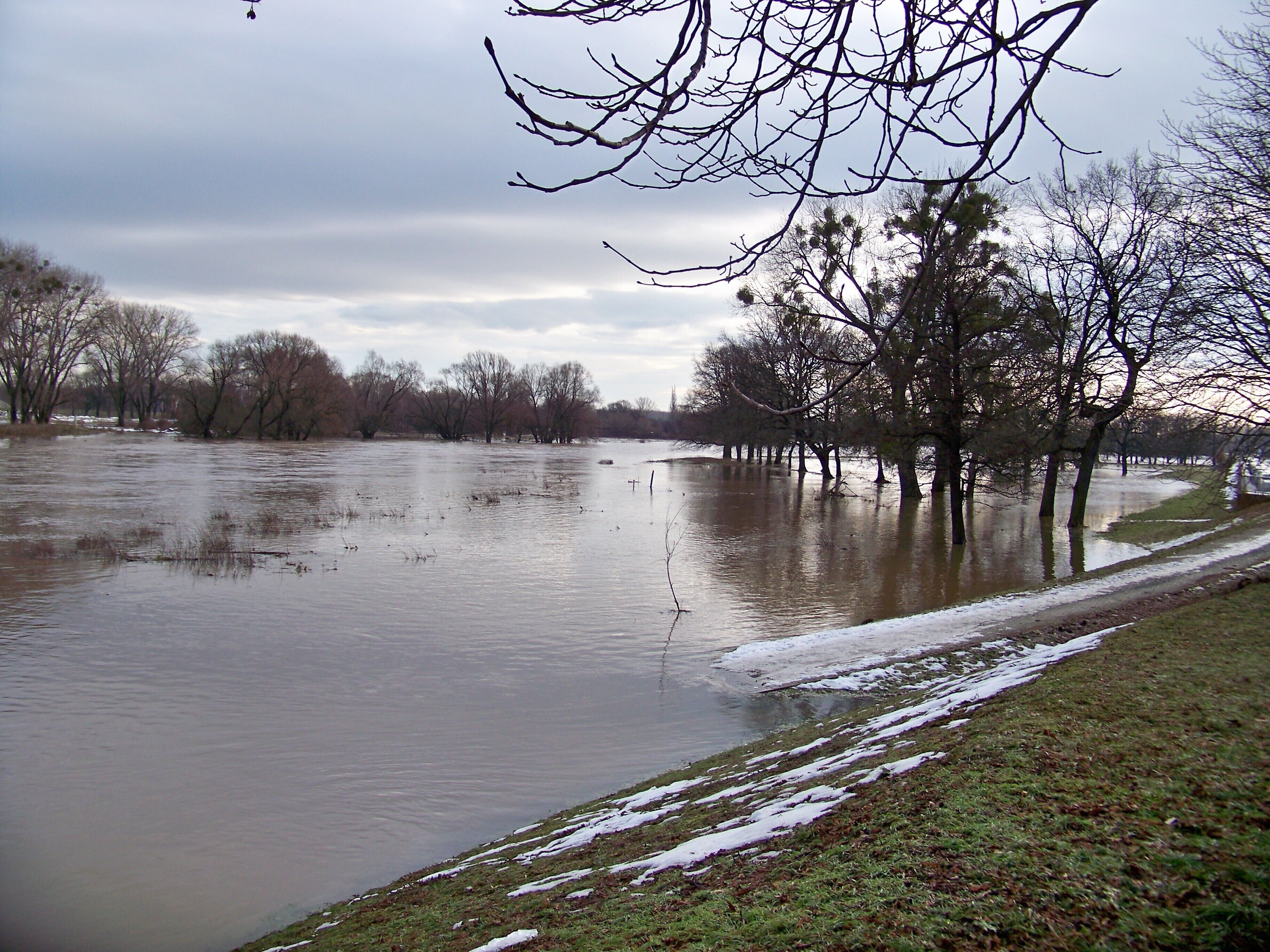 Überflutete Muldewiesen in Eilenburg bei einem Pegelstand von 3.90 Metern am 9. Januar 2011
