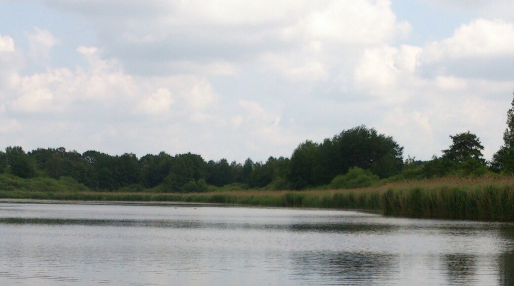 "Rohrbacher Teiche" (ponds of Rohrbach)NSG L19 in Rohrbach, Belgershain, Saxony. "Mittelteich" (middle pond) of three ponds, photographed from West to East.