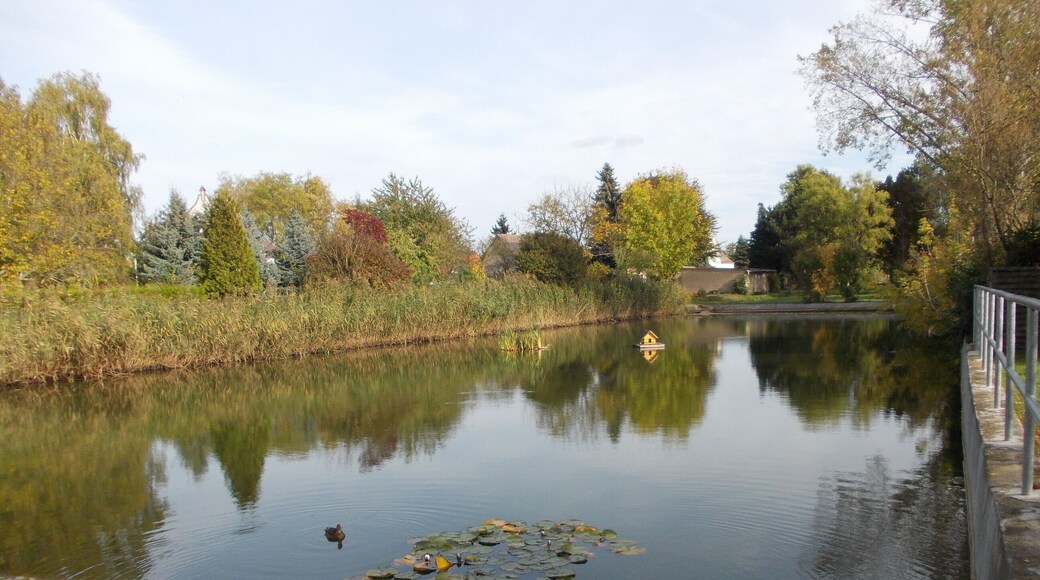 Pond in Tornau (Halle/Saale, Saxony-Anhalt)