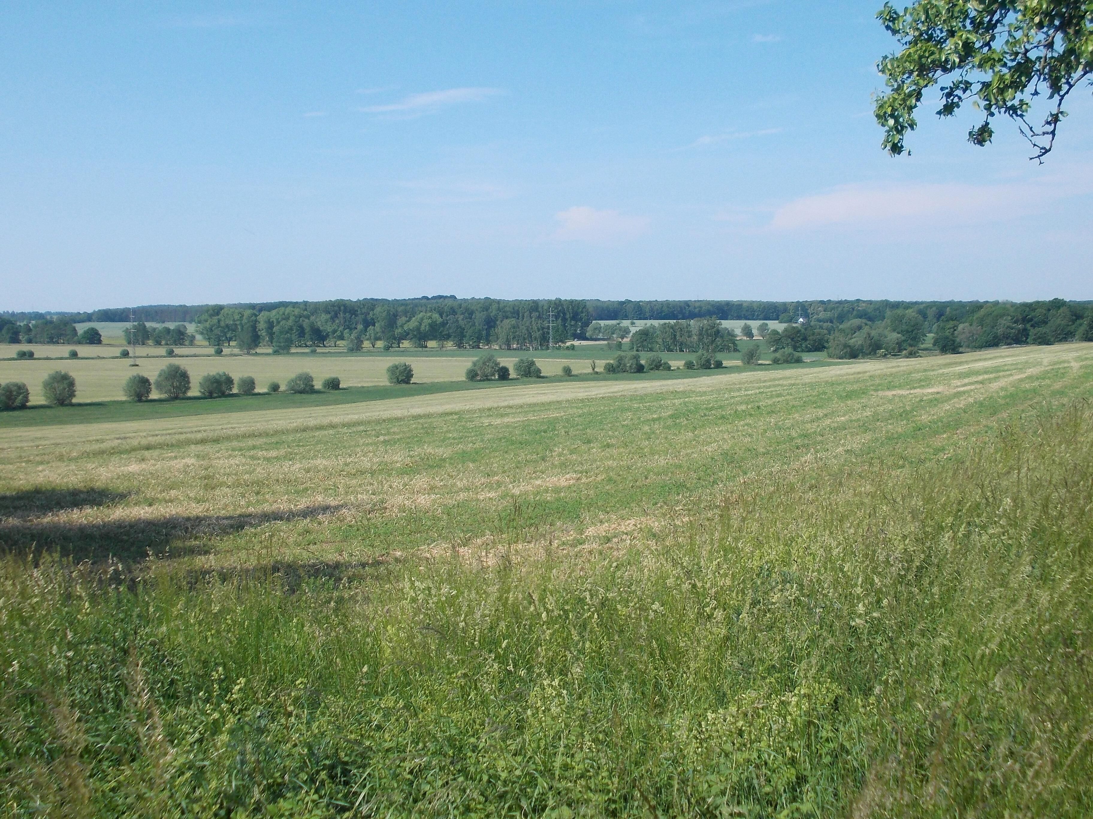 Landscape near Beucha (Bad Lausick, Leipzig district, Saxony)