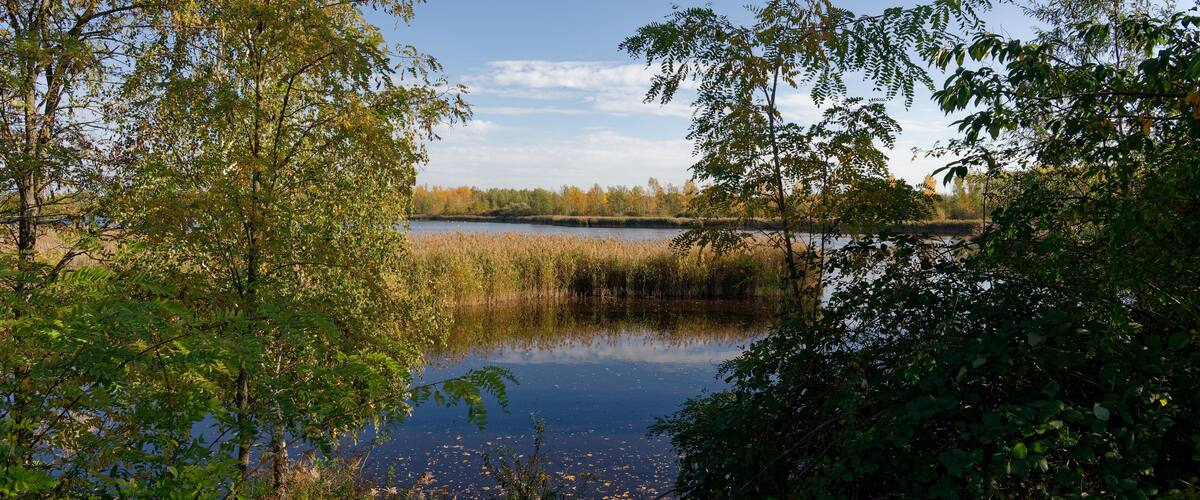 Naturschutzgebiet Lobstädter Lachen bei Lobstädt und Deutzen in der Nähe der Stadt Borna, Landkreis Leipzig, Sachsen, Deutschland