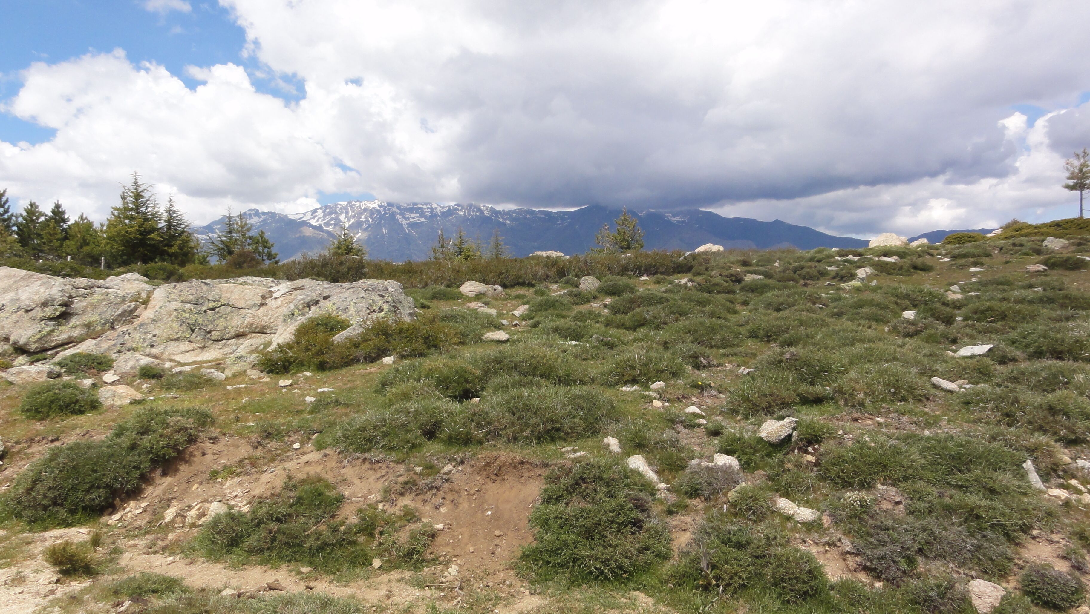 20224 Casamaccioli, France