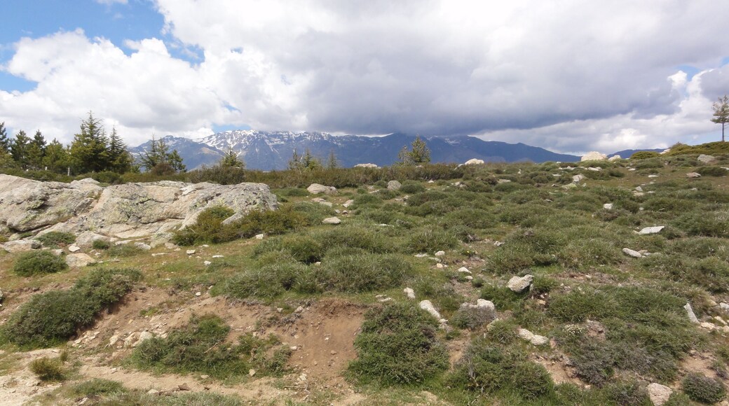 20224 Casamaccioli, France