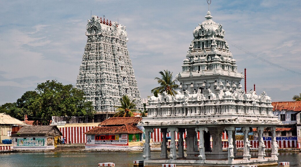 ๋ธ๋ฆฌ๋ค์ฐฐ๋