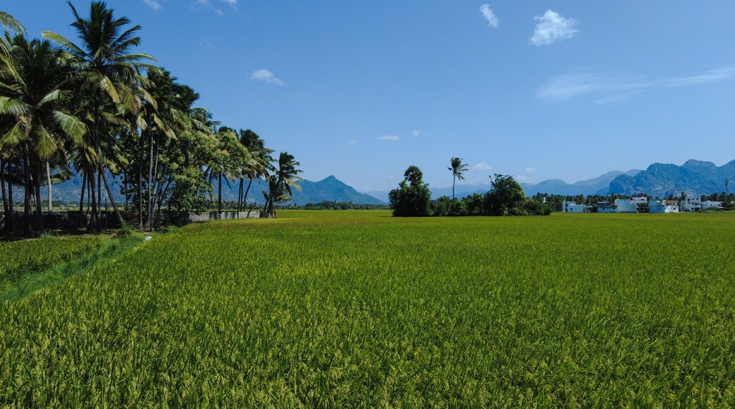 ๋ธ๋ฆฌ๋ค์ฐฐ๋