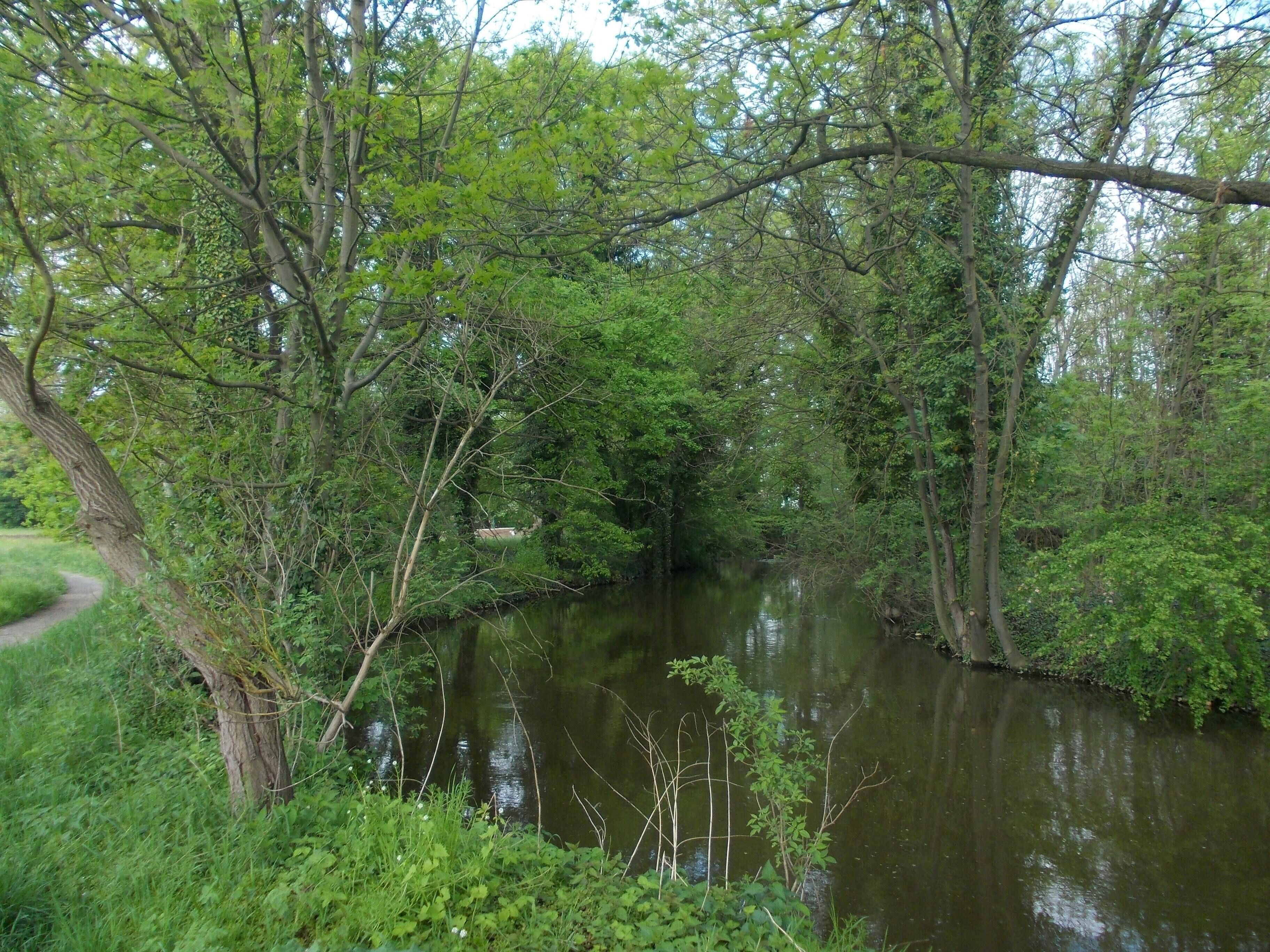 Profener Mühlgraben in Pegau (Leipzig district, Saxony), Elsteraue landscape protection area