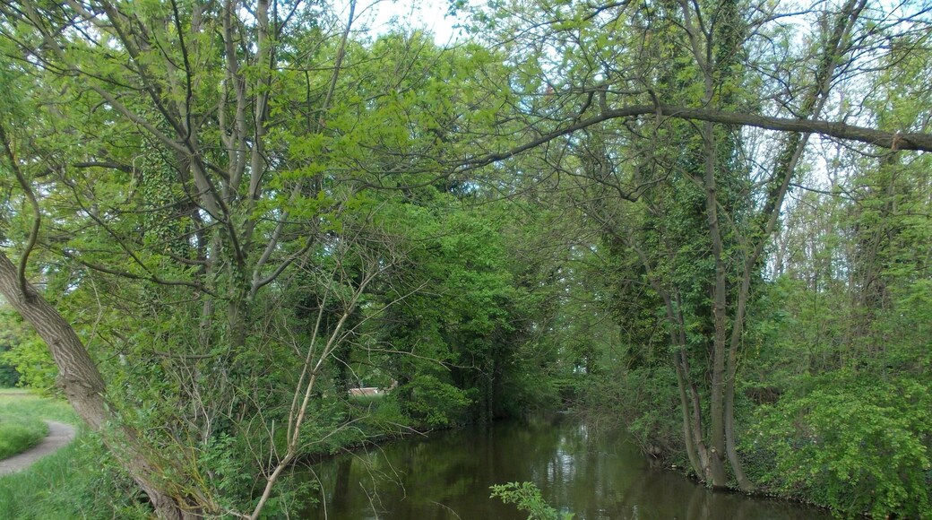 Profener Mühlgraben in Pegau (Leipzig district, Saxony), Elsteraue landscape protection area