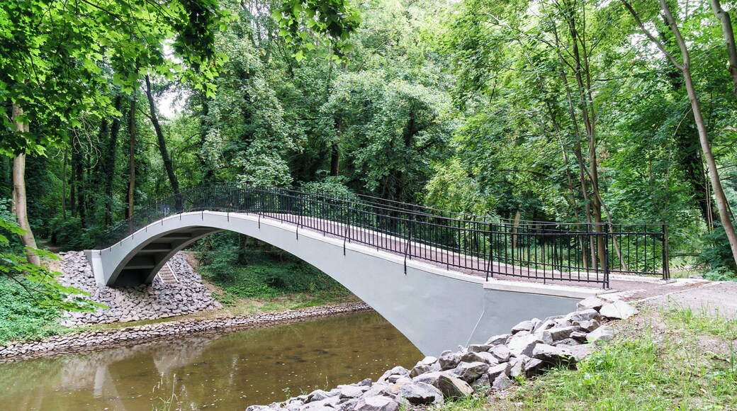Bogenbrücke im König Albert-Hain von Pegau