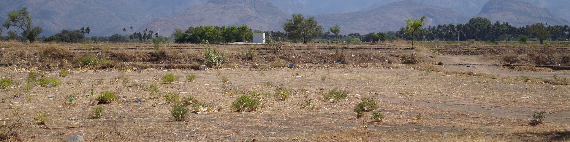 landscape of palani hills on the way to palani temple India