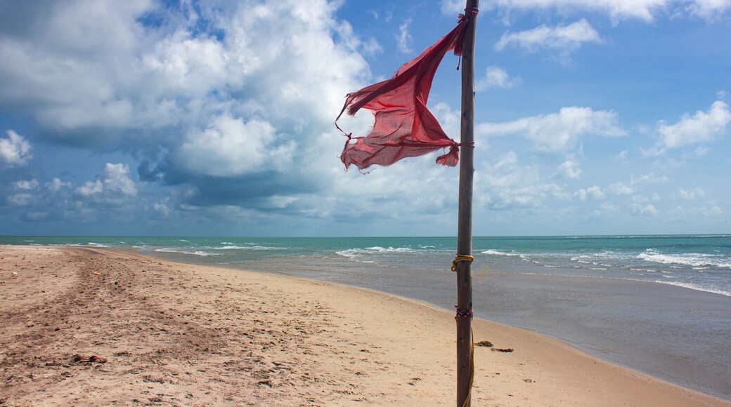 Arichal Munai (near Dhanushkodi), located at the southern tip of Rameswaram Island in Tamil Nadu, India, marks a unique geographical convergence point where the Bay of Bengal meets the Indian Ocean.