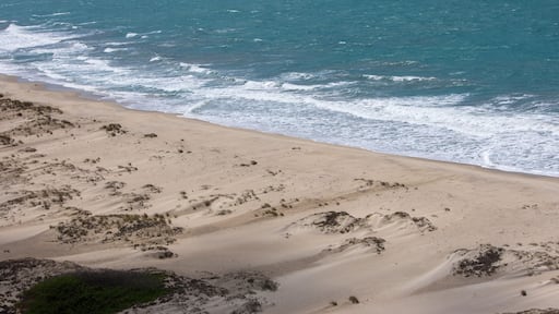 Dhanushkodi Beach, located near Arichal Munai, is known for its pristine sands and clear waters. Dhanushkodi is an abandoned town at the south-eastern tip of Pamban Island of the state of Tamil Nadu