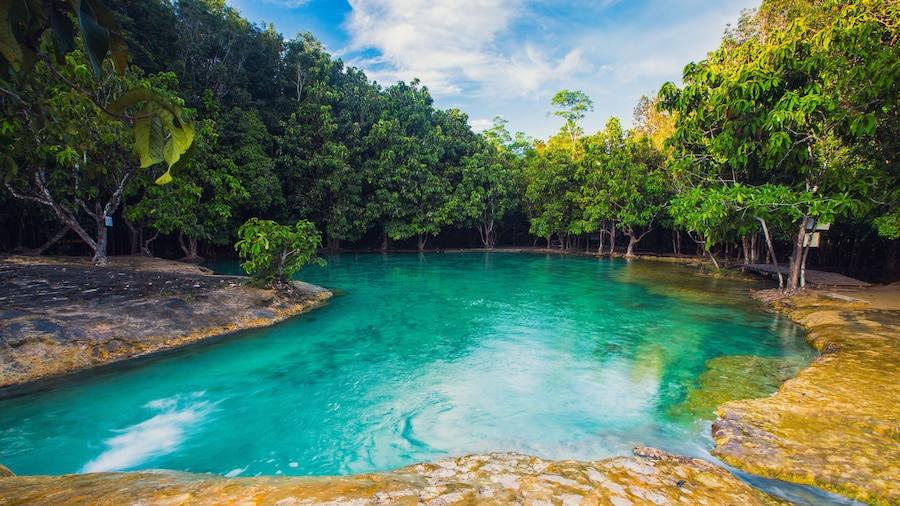 Sources thermales Emerald Pool